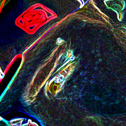 Lib_portrait_card
