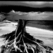 Captiva-storm-michael-l-kimble_card