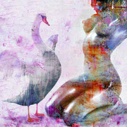 Leda_card