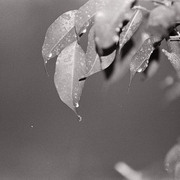 Photo27_27_card
