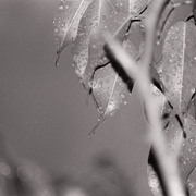 Photo28_28_card