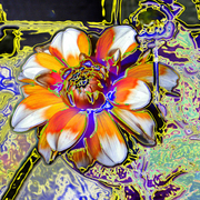 Dalliaabstractonesmall_card