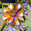 Dalliaabstractonesmall_thumb