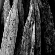 Fisherman-cove-oars-michael-l-kimble_card