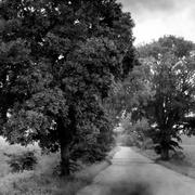 Indiana-road-and-trees-michael-l-kimble_card