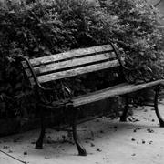 Park-bench-michael-l-kimble_card