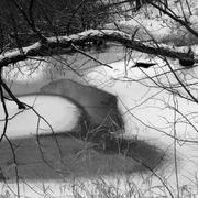 Snow-detail-michael-l-kimble_card