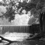 Tree-and-dam-michael-l-kimble_card