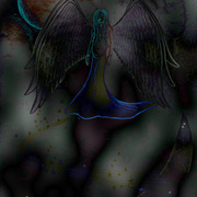 Img_0027_card
