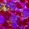 Purplehydrangiaabstractsmall_thumb