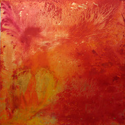 Coral_card