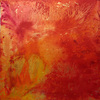 Coral_thumb