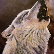 New_white_wolf_card