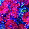 Redroseoneabstractonesmall_thumb