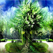 Consciouspark_card