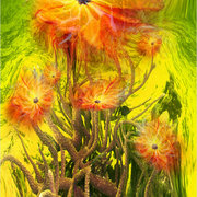 Sponge_card