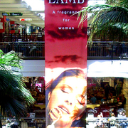 Shop_8_card