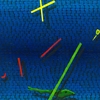 Floaters_thumb