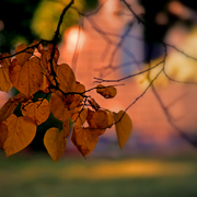 Img_6796a2b2_card