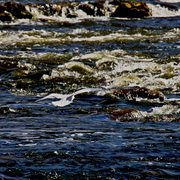 Img_6884a2b_card