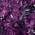 Brightredrosesabstracthreesmall_tiny_square