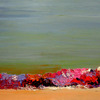Dsc09941b_thumb