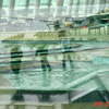 Dsc00038_thumb