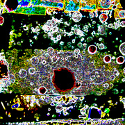 Rain_6_card