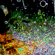 Rain_2_card