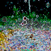 Rain_1_card