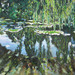 Queenstowngarden1_square