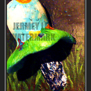 043_copy_card