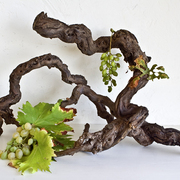 Ikebana-149_card