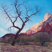 Blackburn-zion_dawn_card