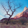Blackburn-zion_dawn_thumb