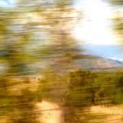 Inmotion_13_card