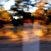 Inmotion_14_card
