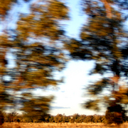 Inmotion_10_card