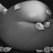 Repose_card