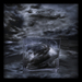 Keepthesky_square