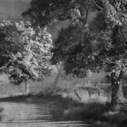 Young_road_card