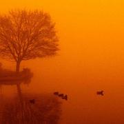 Webster-lake-sunrise-michael-l-kimble_card