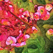 Img00008_card