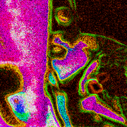 Tree_talk_card