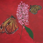 Img_9899_resize-crop_card