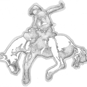 Cowboy_card