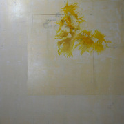 Jardin_seco_card