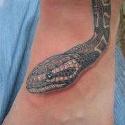 Snake_12_card