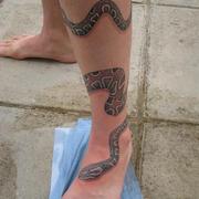 Snake_7_card