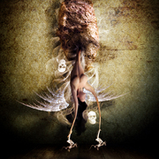 Angel_is_born_card